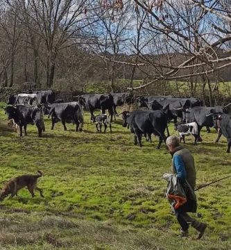 La Trashumancia en Extremadura: Un Legado Vivo que Resiste el Paso del Tiempo