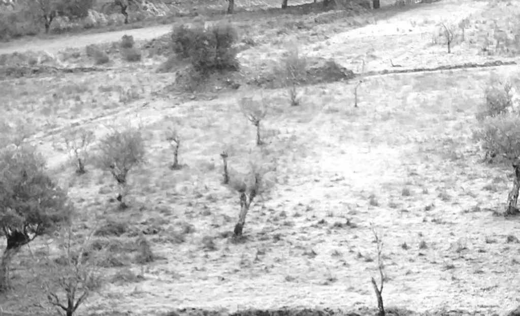 Temperaturas bajo cero en varias localidades de Extremadura
