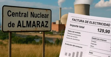 ¿Por qué los políticos extremeños no piden tarifas eléctricas más bajas para la población pese a tener una central nuclear?