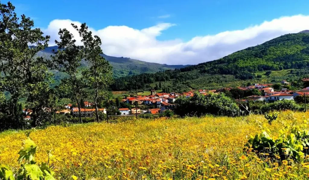 Impulso Vital para Municipios Pequeños: Nuevas Ayudas a la Contratación en Cáceres