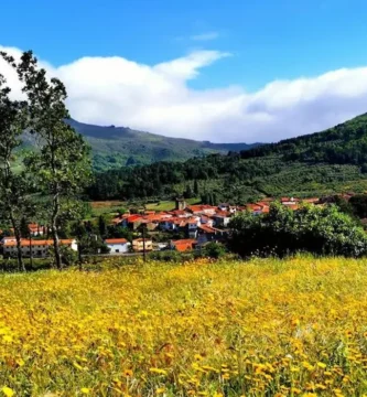 Impulso Vital para Municipios Pequeños: Nuevas Ayudas a la Contratación en Cáceres