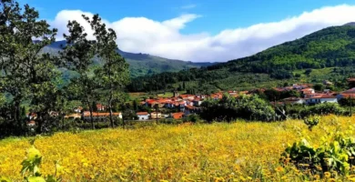 Impulso Vital para Municipios Pequeños: Nuevas Ayudas a la Contratación en Cáceres