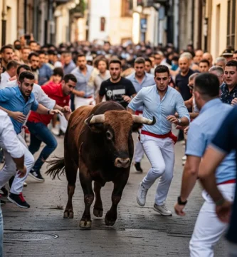 Sanjuanes de Coria: Un Hombre de 70 Años de Montehermoso Herido Grave por Asta de Toro