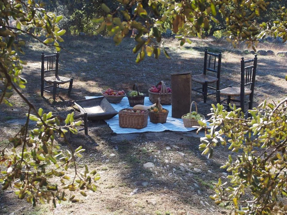 los rituales de la ‘carvochá-chicharrona’ están llamando a tu puerta (III)