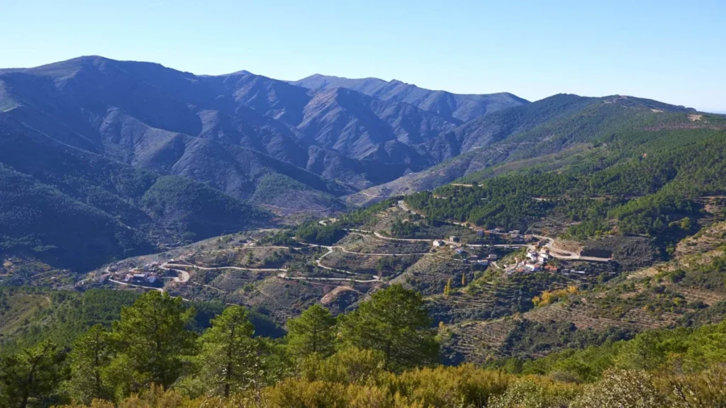 los rituales de la ‘carvochá-chicharrona’ están llamando a tu puerta (II)