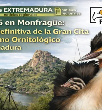 FIO 2026 en Monfragüe: La Guía Definitiva de la Gran Cita del Turismo Ornitológico en Extremadura